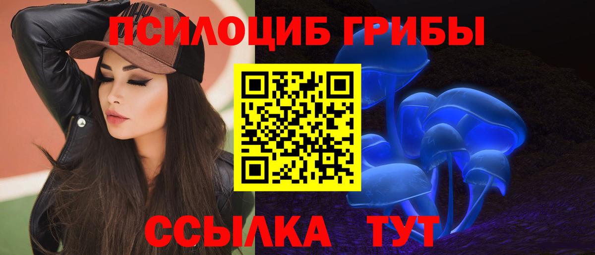 закладки  Вход с VPN  Вичуга  Галлюциногенные грибы GOLDEN TEACHER 